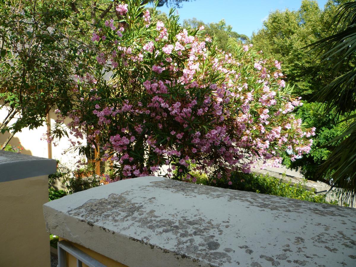 Villa Santa Margherita - B&B กอร์โตนา ภายนอก รูปภาพ